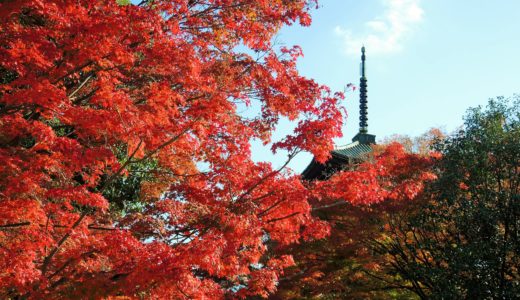 今日は何の日～記念日・グルメ・イベント～京都歳時記へようこそ！
